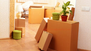 Fort Collins Movers